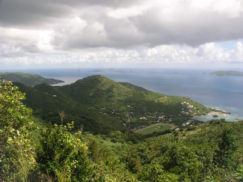 British Virgin Islands Business Company (BVI BC)