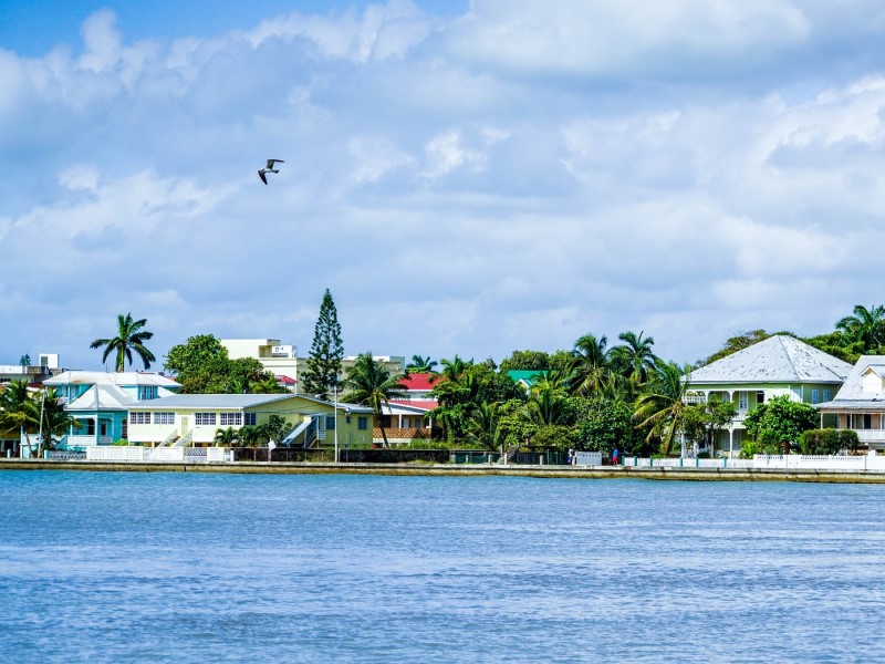 Belize Foundation