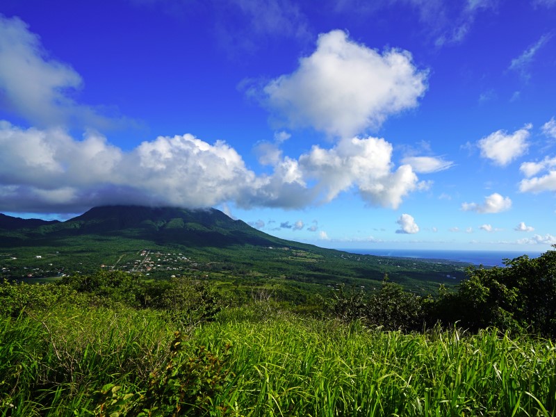 Nevis Limited Liability Company (LLC)