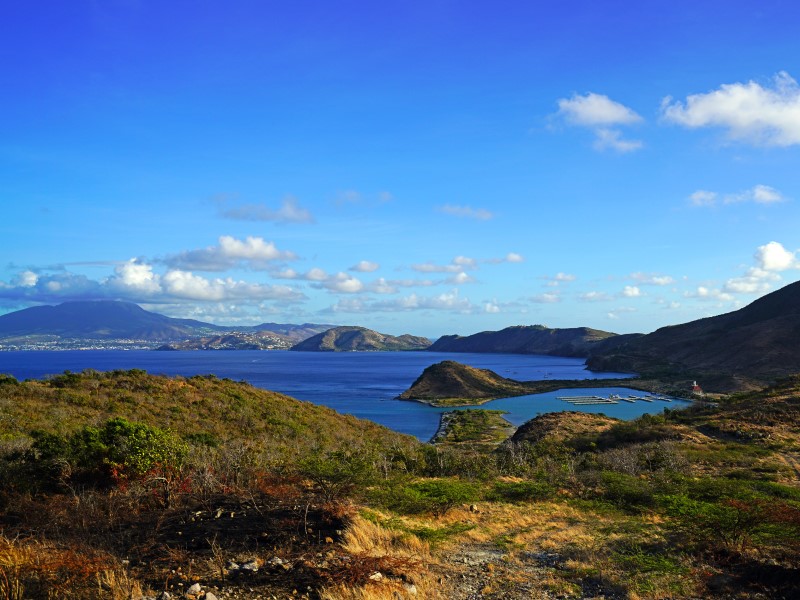 Nevis LLC Packages
