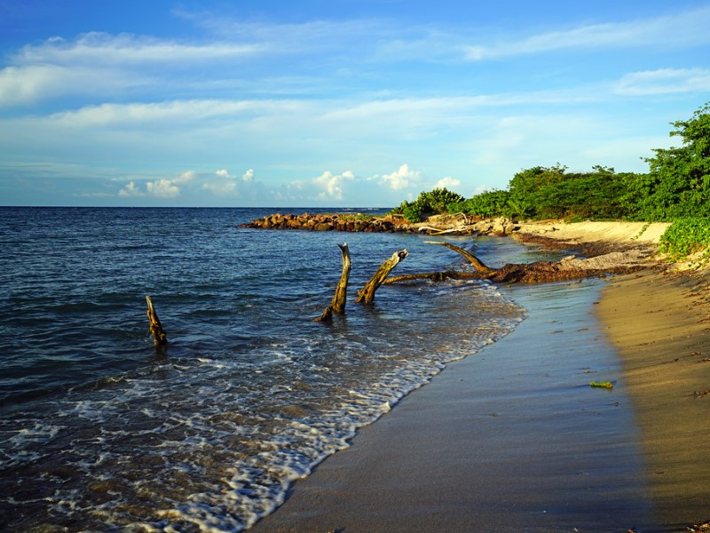 Nevis Bank Account Package