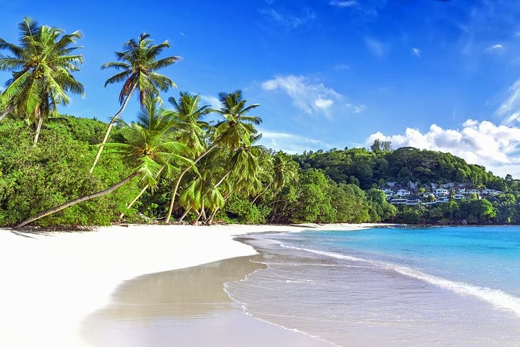 International Companies in Nevis