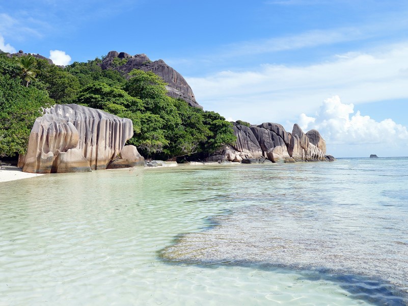 Seychelles International Business Company (IBC)